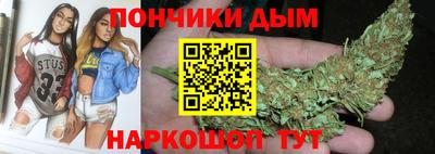 индика Заволжье