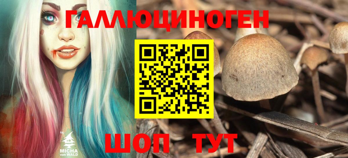Кыштым  даркнет сайт  Вход с VPN  Псилоцибиновые грибы ЛСД 